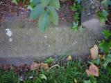 image of grave number 833235